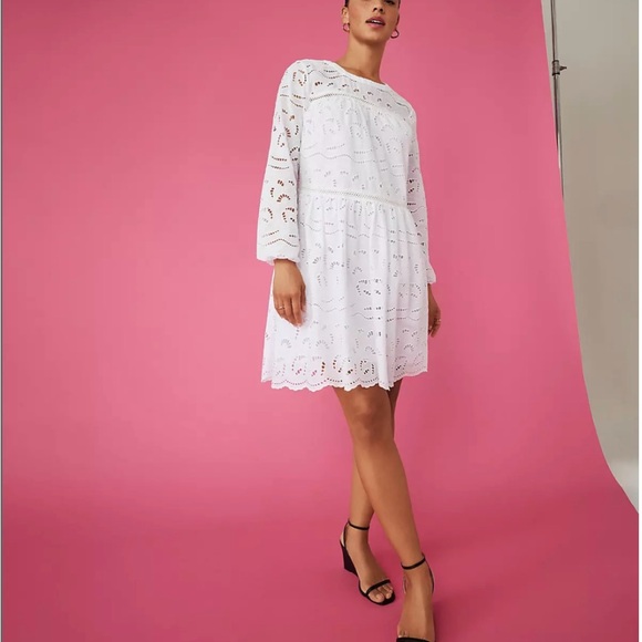 NWT LOFT Eyelet Long Sleeve Swing Dress | Small - Picture 1 of 10